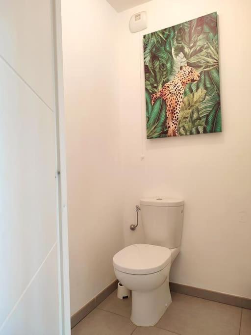 Neuf Piscine Appartement *